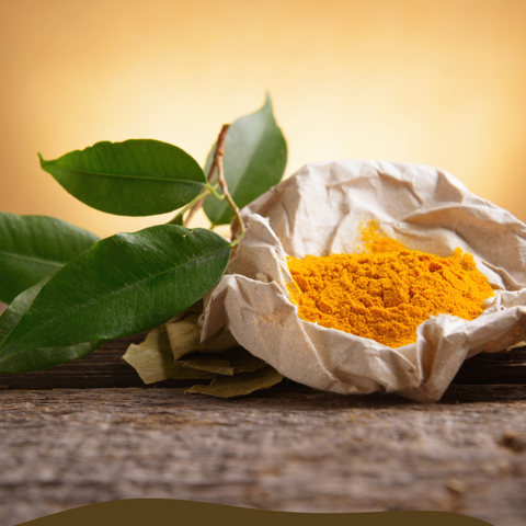 The Golden Power of Turmeric: Why This Ancient Spice Still Reigns Supreme